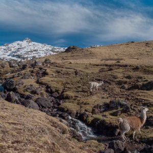 LARES HOT SPRINGS TREK 4 Days 3 Nights