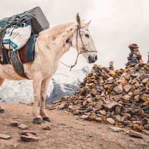 EXTENDED AUSANGATE RAINBOW TREK + MACHU PICCHU PACKAGE 9 Days 8 Nights
