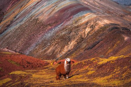 THREE RAINBOW MOUNTAINS PALCOYO TOUR 1 Full Day